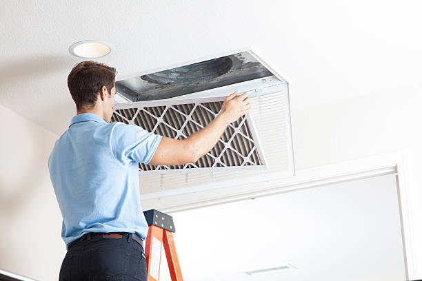 Best Furnace Cleaning in Perry, MI